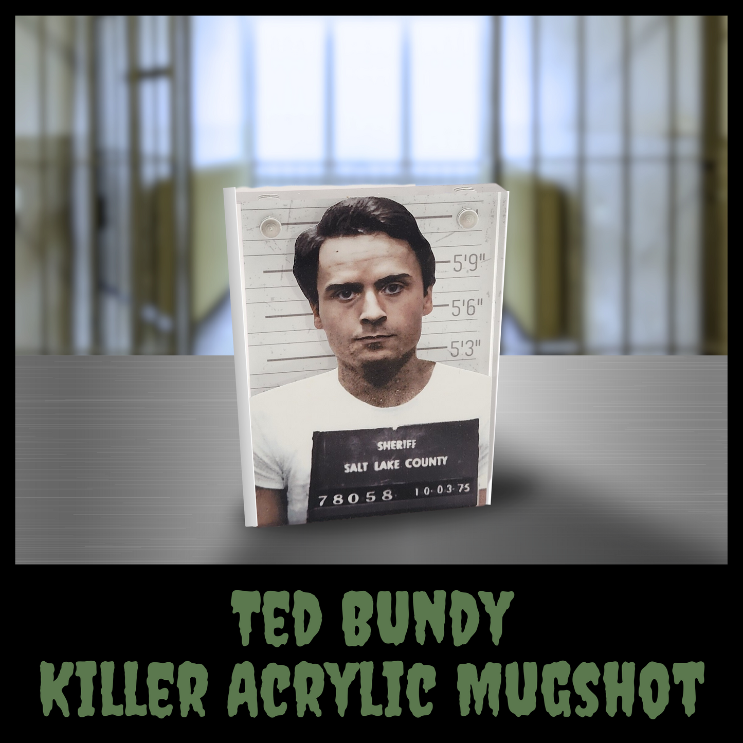 Ted Bundy Acrylic Mugshot Decor – True Crime Serial Killer Collectible, Dark Aesthetic Desk or Shelf Display for Horror & Crime Enthusiasts