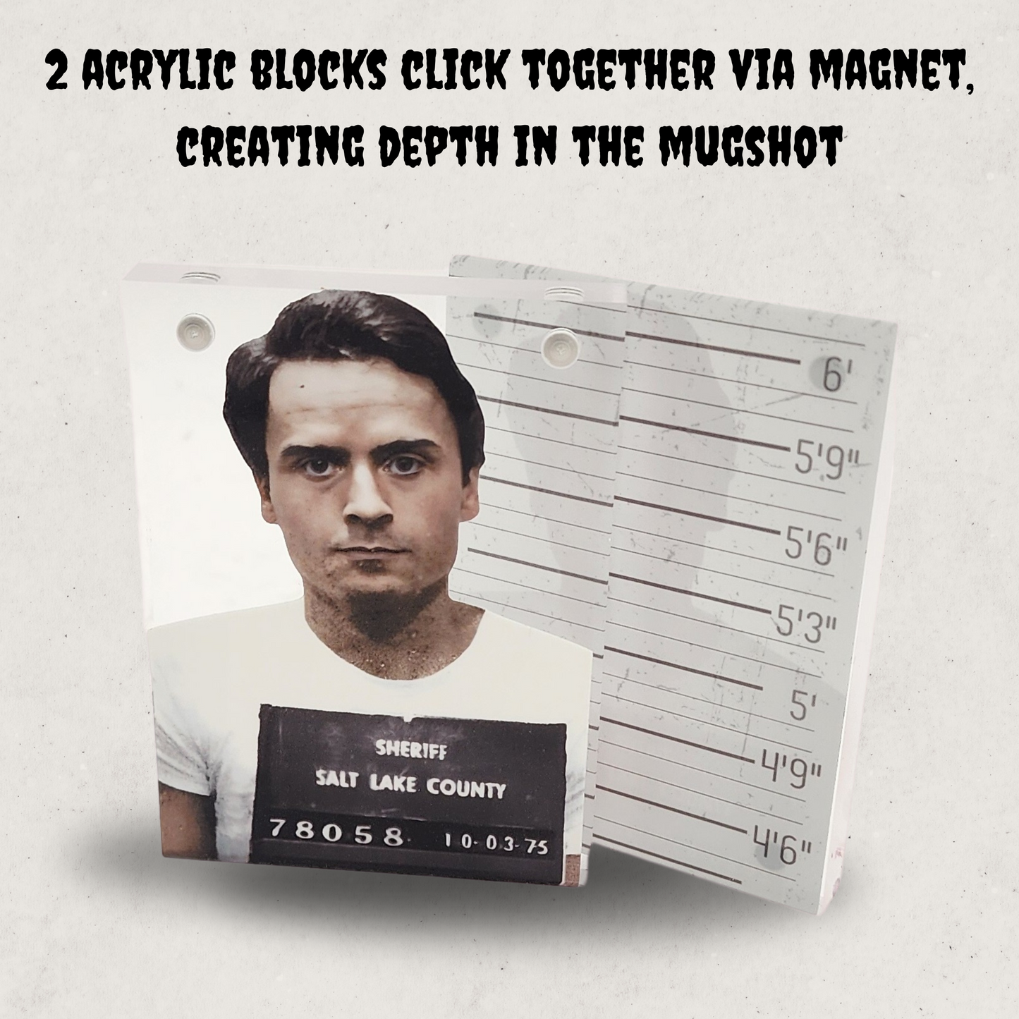 Ted Bundy Acrylic Mugshot Decor – True Crime Serial Killer Collectible, Dark Aesthetic Desk or Shelf Display for Horror & Crime Enthusiasts