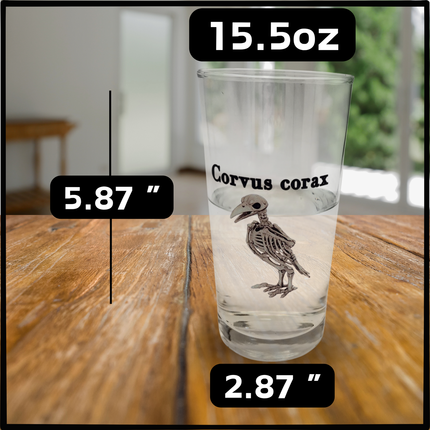 Animal Skeleton Glass Set | Gothic Science Tumblers | Spooky Anatomy Drinkware for Horror & Nature Lovers
