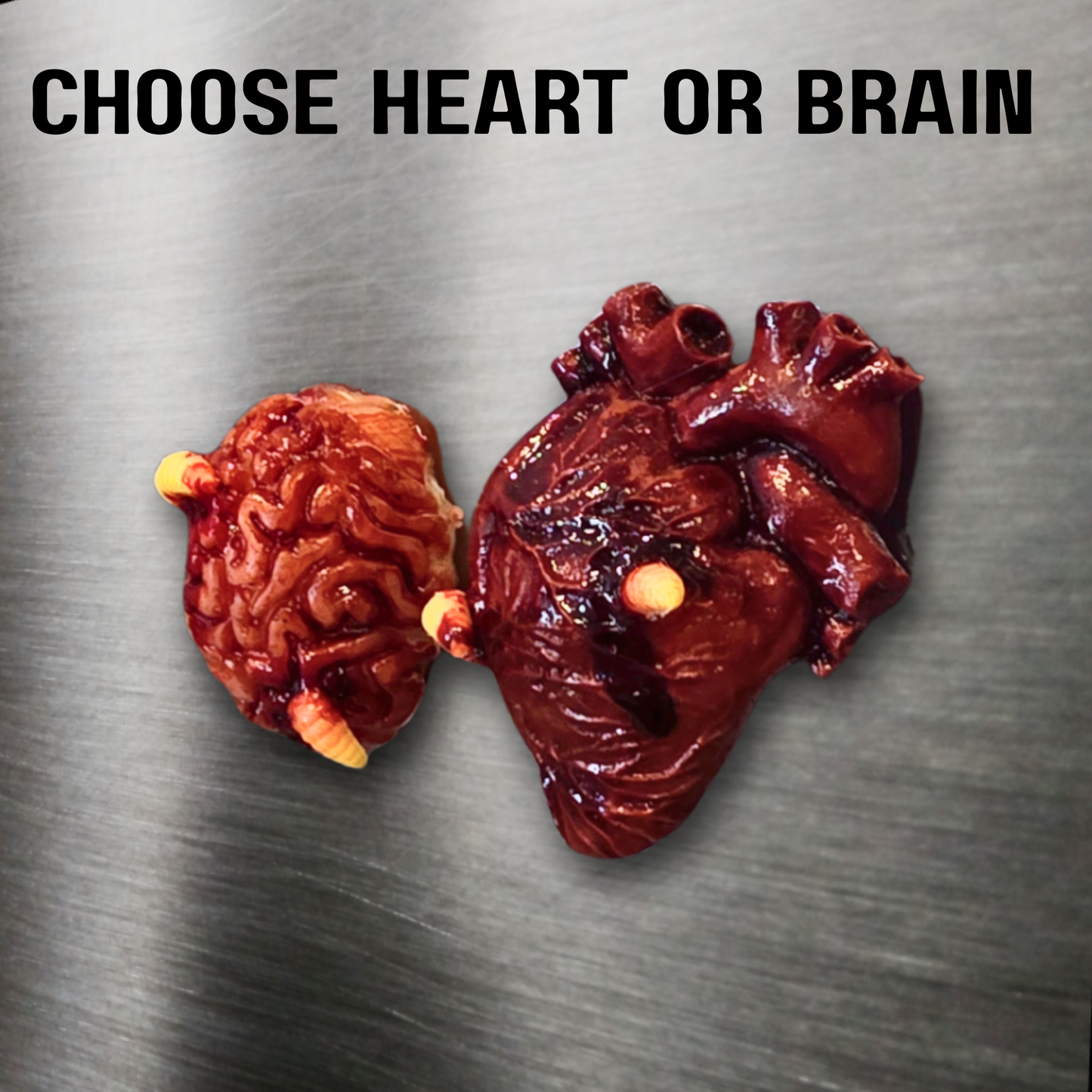 Infected Magnets | Handmade Anatomical Heart & Brain Horror Magnets