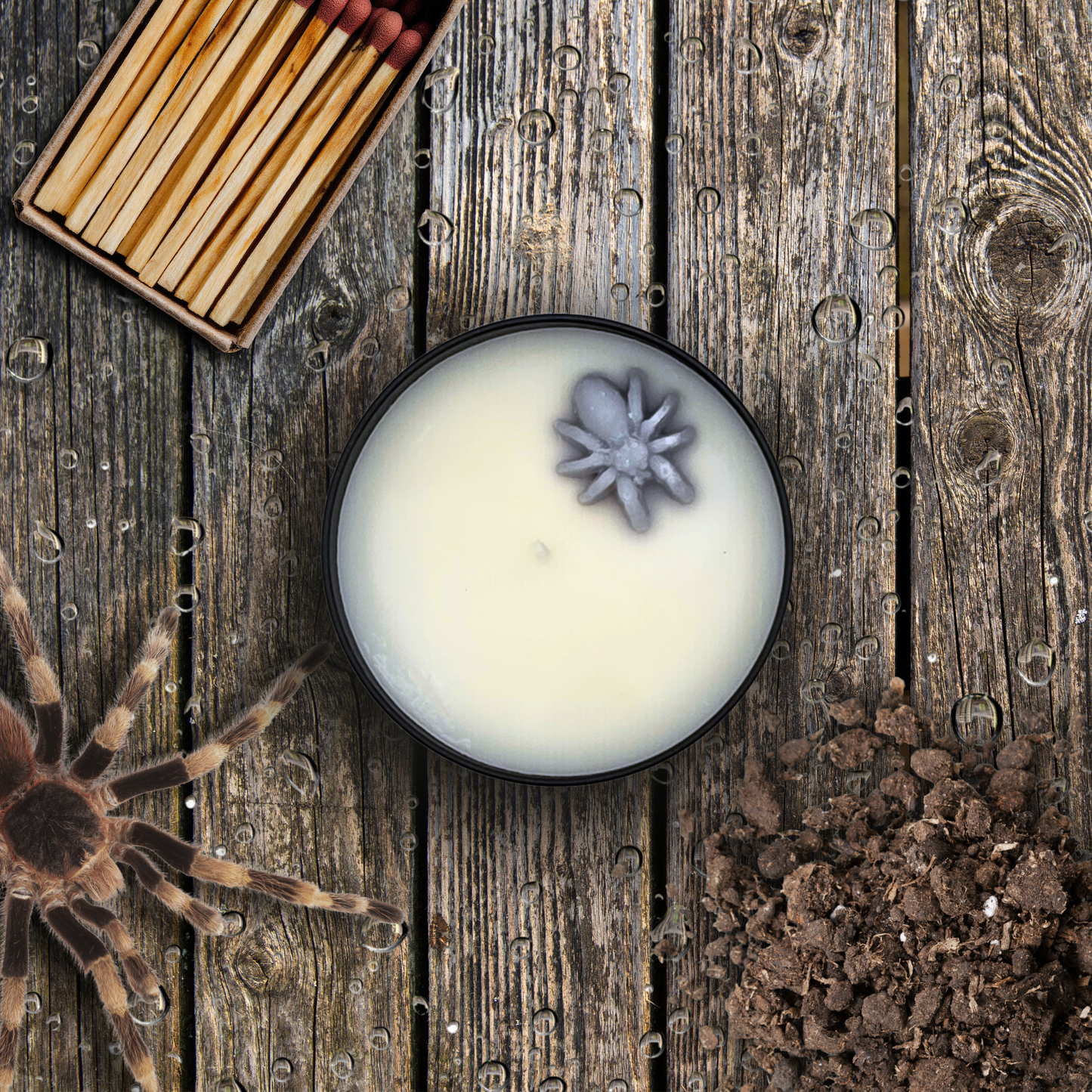 Arachnophobia Candle & Wax Melts | Petrichor Scent | Rain-Soaked Soil, Damp Basement, Spider Inspired Horror Home Fragrance