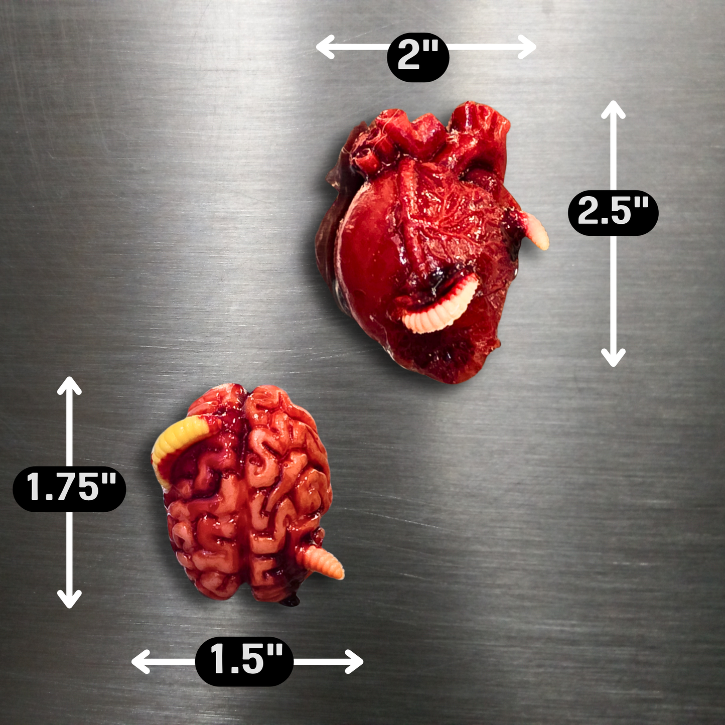 Infected Magnets | Handmade Anatomical Heart & Brain Horror Magnets