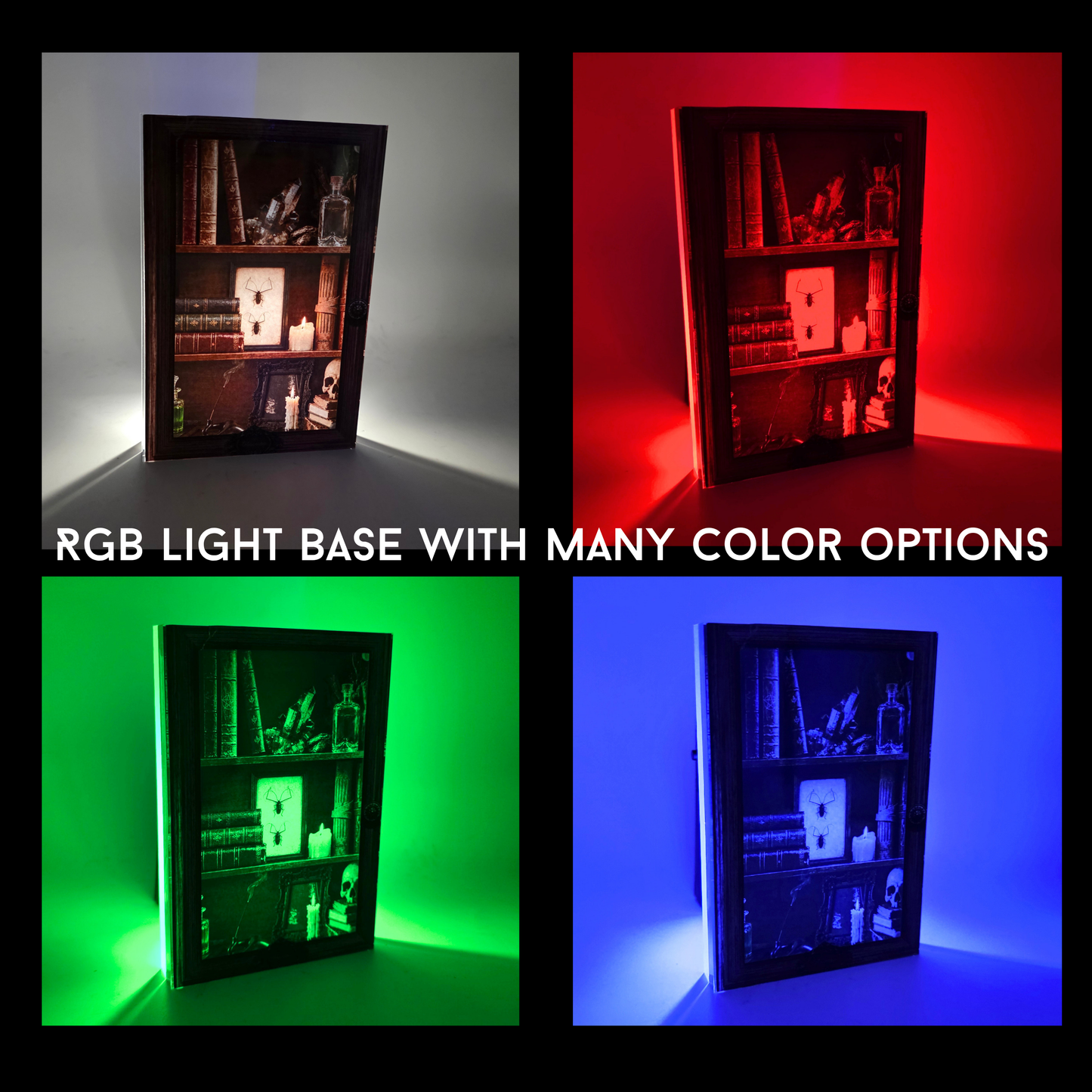 Cabinet Obscura 3D Effect Acrylic | Gothic Curiosity Cabinet Decor