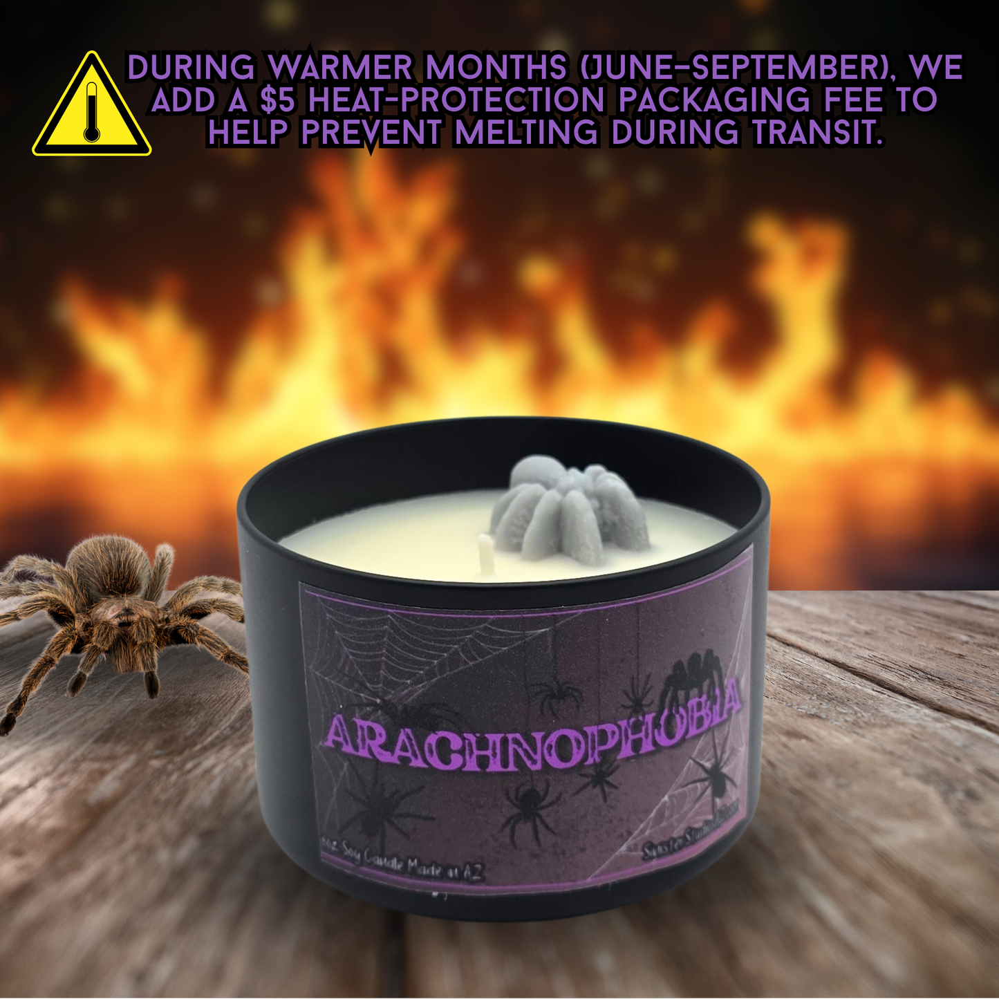Arachnophobia Candle & Wax Melts | Petrichor Scent | Rain-Soaked Soil, Damp Basement, Spider Inspired Horror Home Fragrance